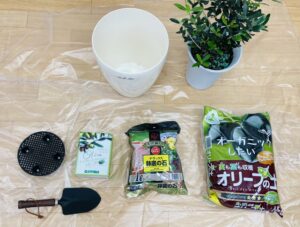 植替え　準備物